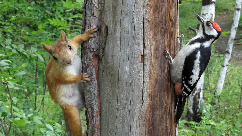 Photograph by Alexsandr Gl