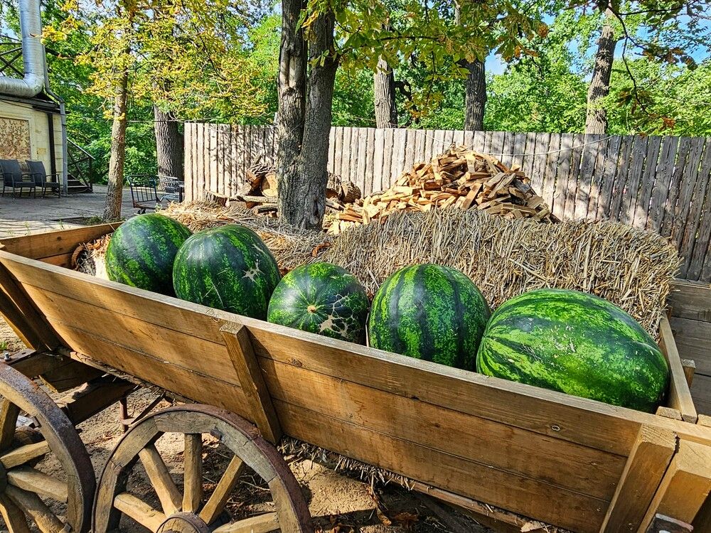 Photograph by Людмила Локтионова