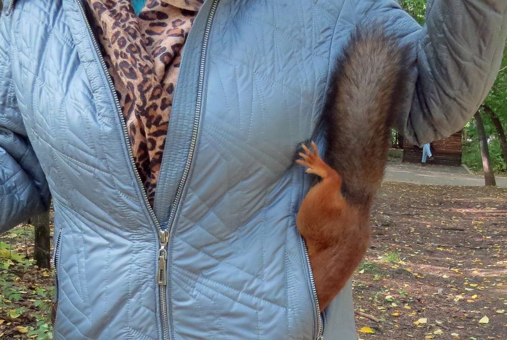 Photograph by Alexsandr Gl