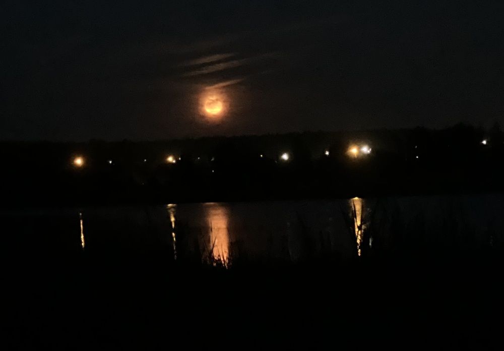 Photograph by Kira Ko