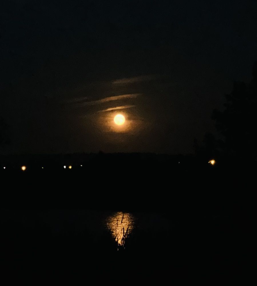 Photograph by Kira Ko