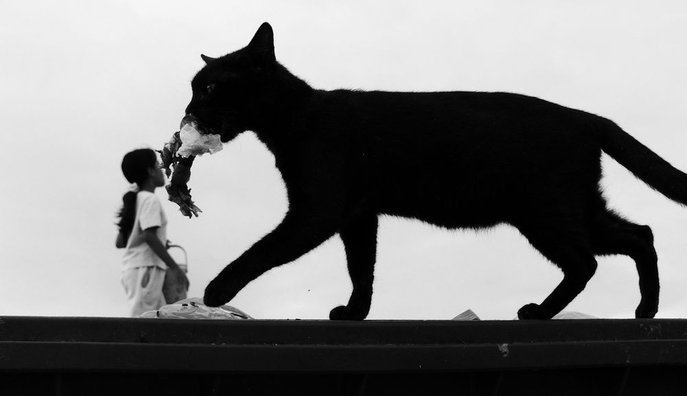 Фотография автора Rifai Annas