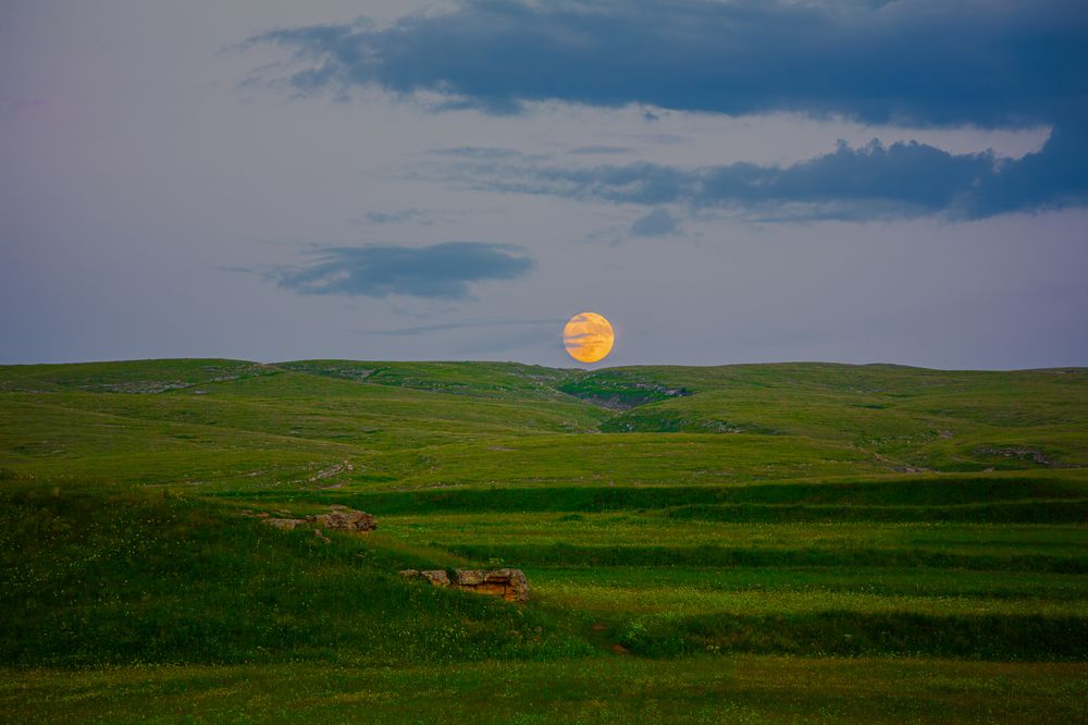 Photograph by Ронжин Дмитрий