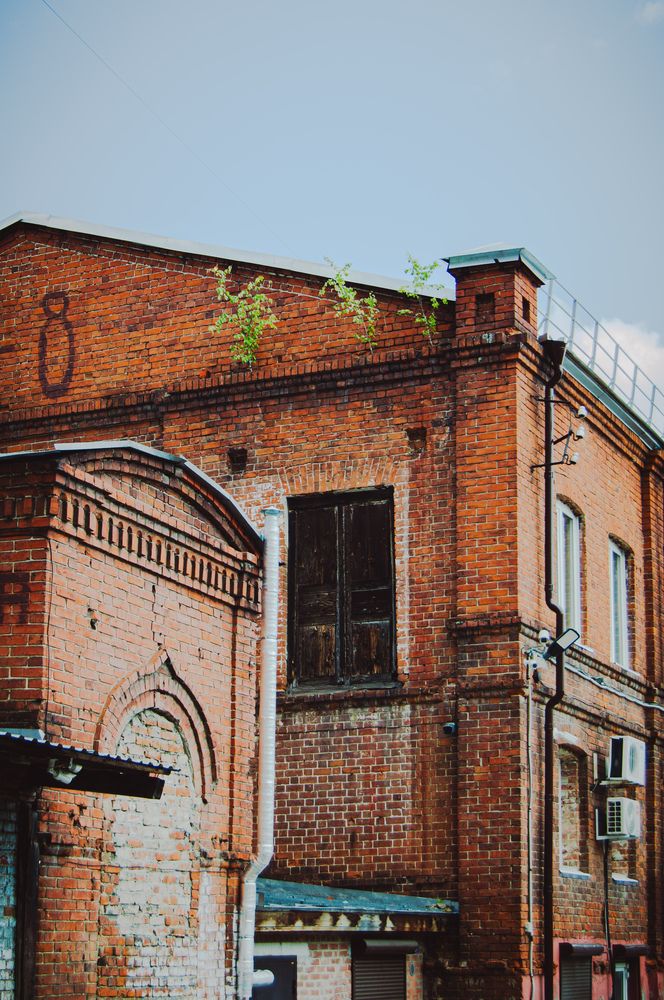 Photograph by Маргарита