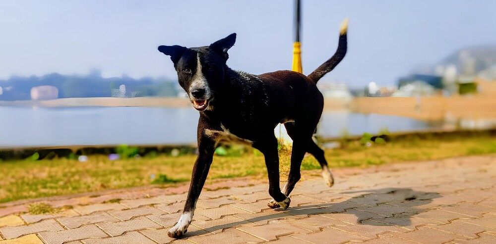 Photograph by Navya Modi