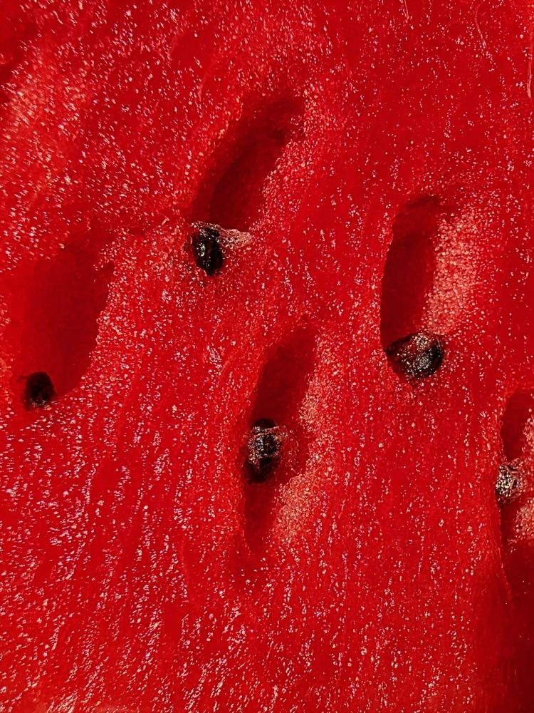 Photograph by Куделенко Оксана