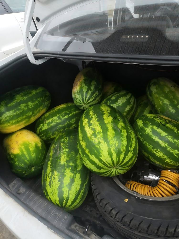 Photograph by Куделенко Оксана