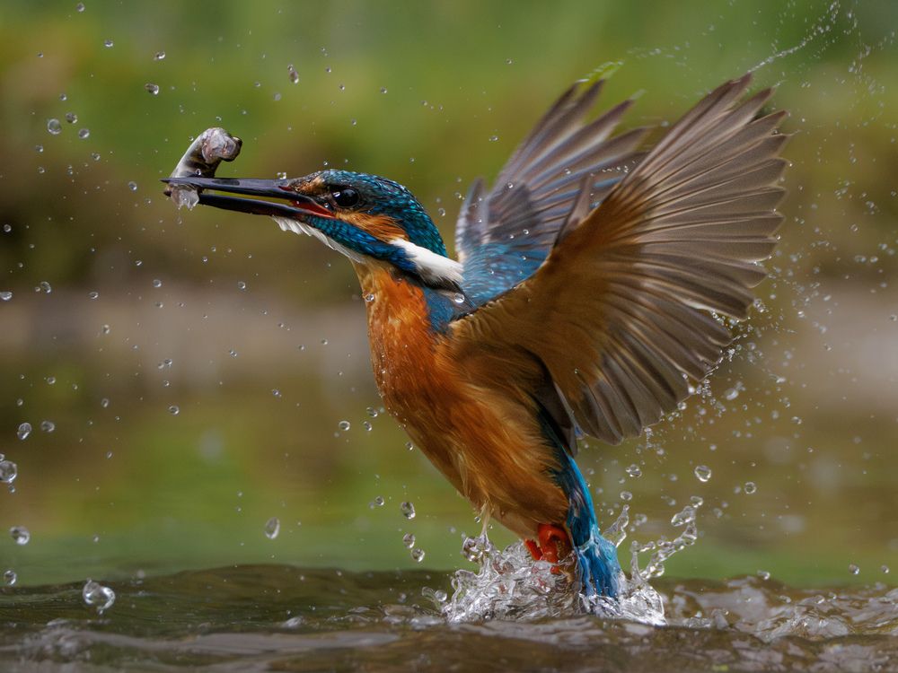 Photograph by Daniela Retzer