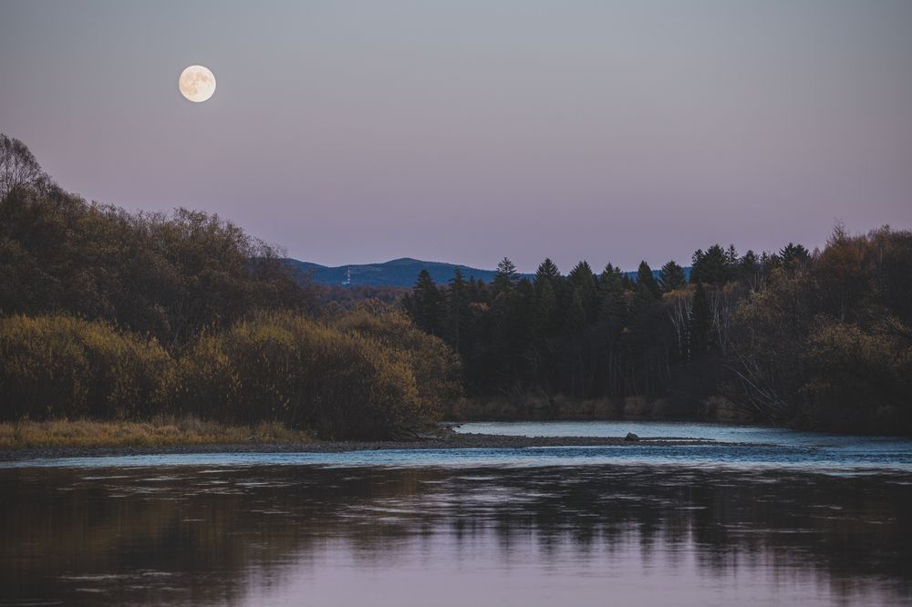 Photograph by Александр Салякаев