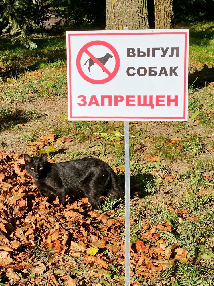 Фотография автора Elena Polonetskaya