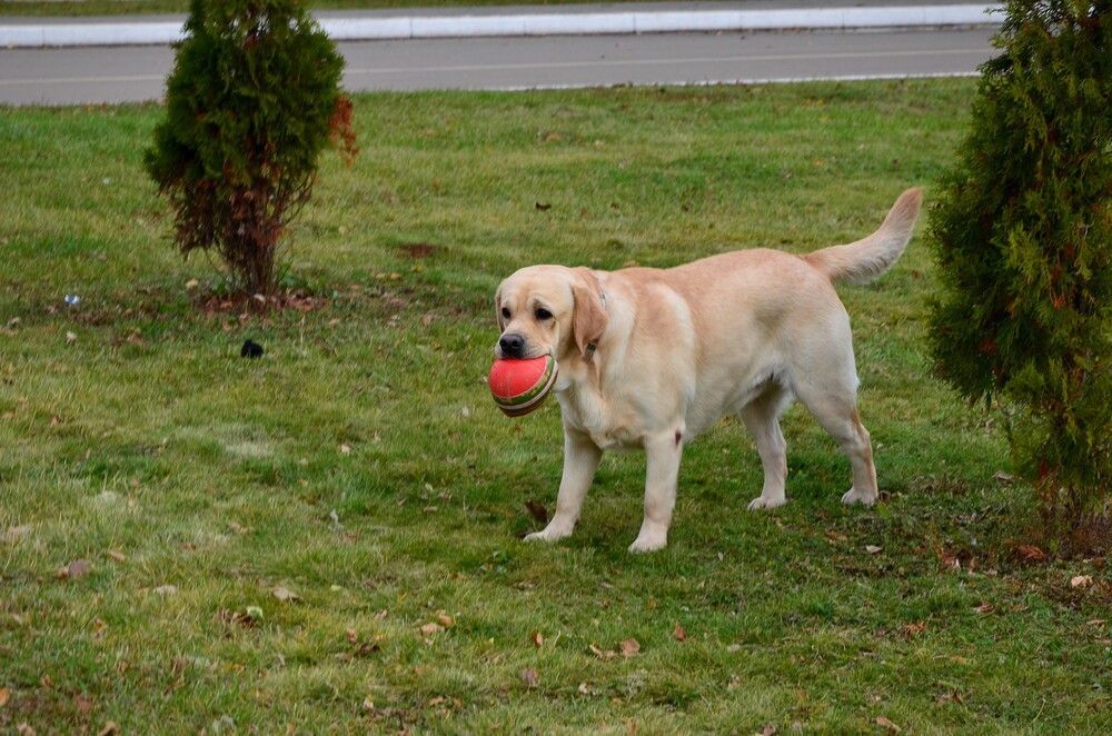 Photograph by Зинаида Фадеева