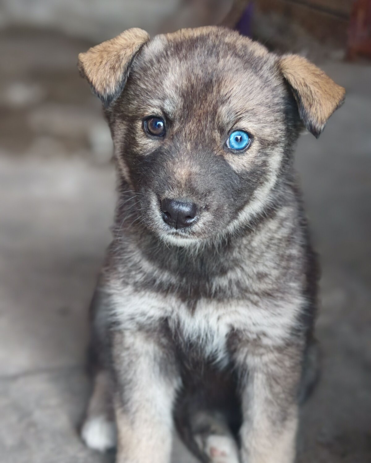Photo #12459694