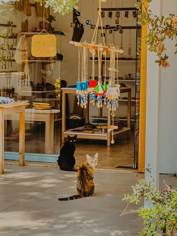 Фотография автора Марина