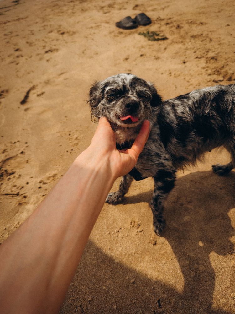 Фотография автора Марина