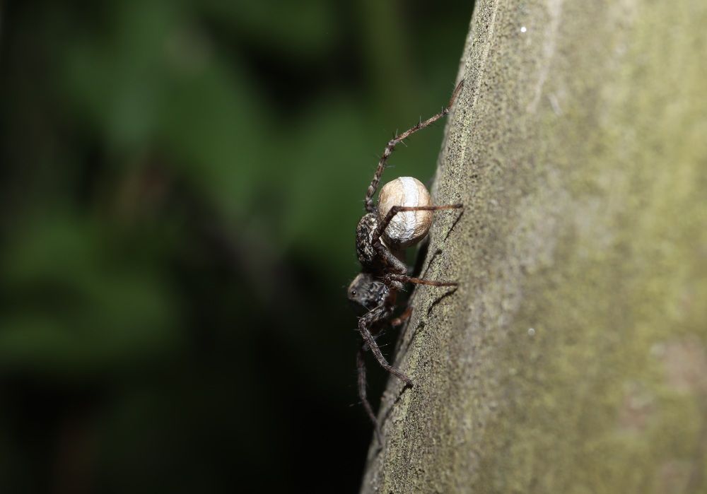 Photograph by Se Lena