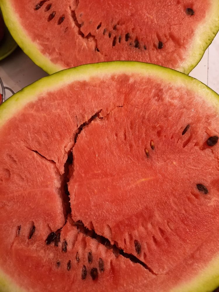 Photograph by Андрей Корытов