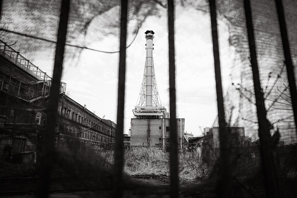 Photograph by Елена Барышева