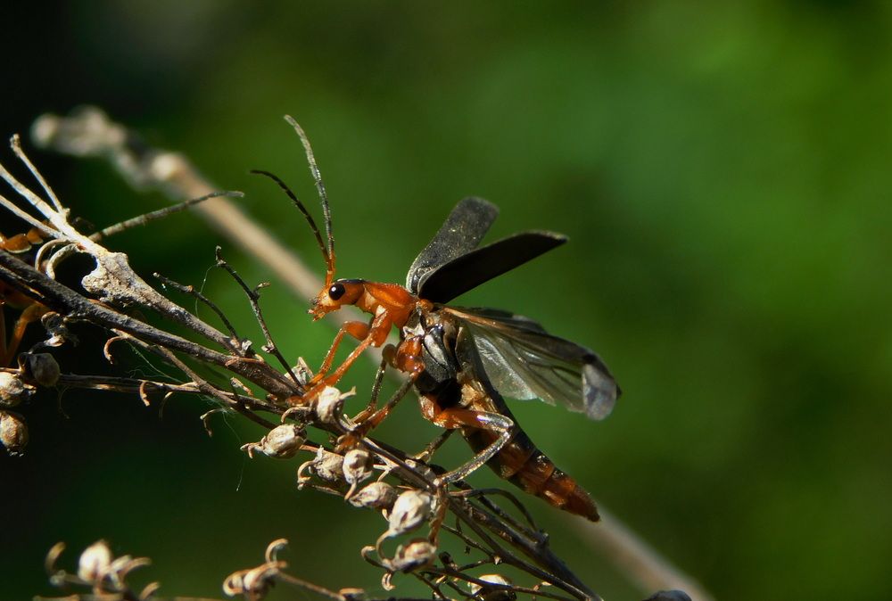Photograph by Сергей Чеченов