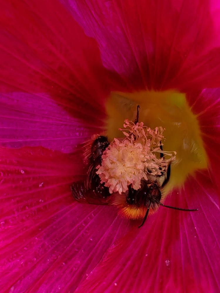 Photograph by Евгения Бородина