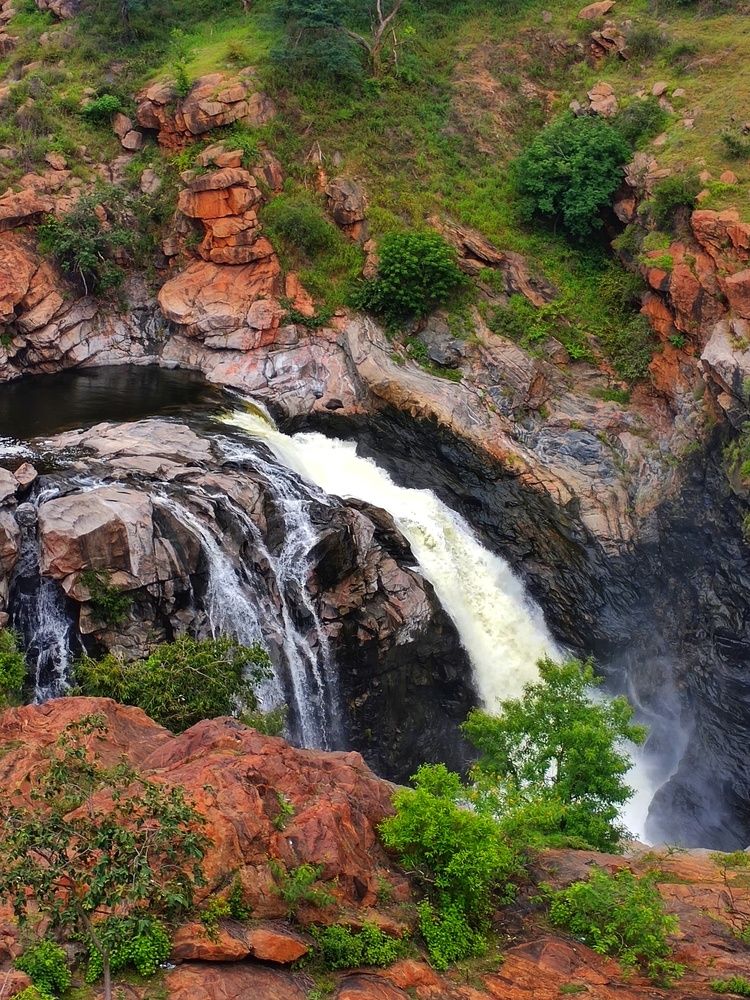 Nature’s Untamed Symphony