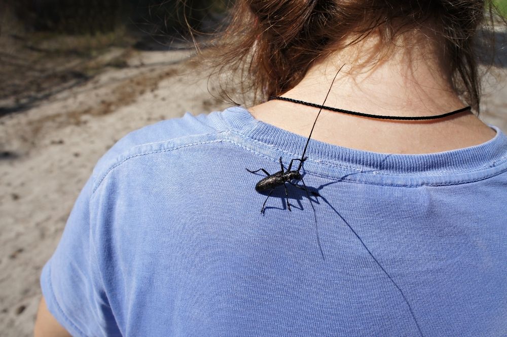 Photograph by Елена Гоосен