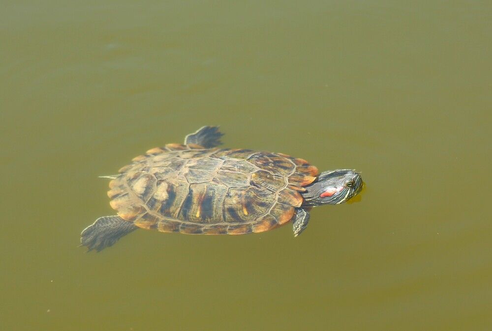 Photograph by Марина Юрченко