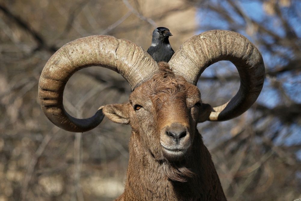 Photograph by Елена Кириллова