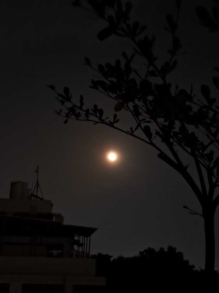 Photograph by Manish (Valmie) Joshi