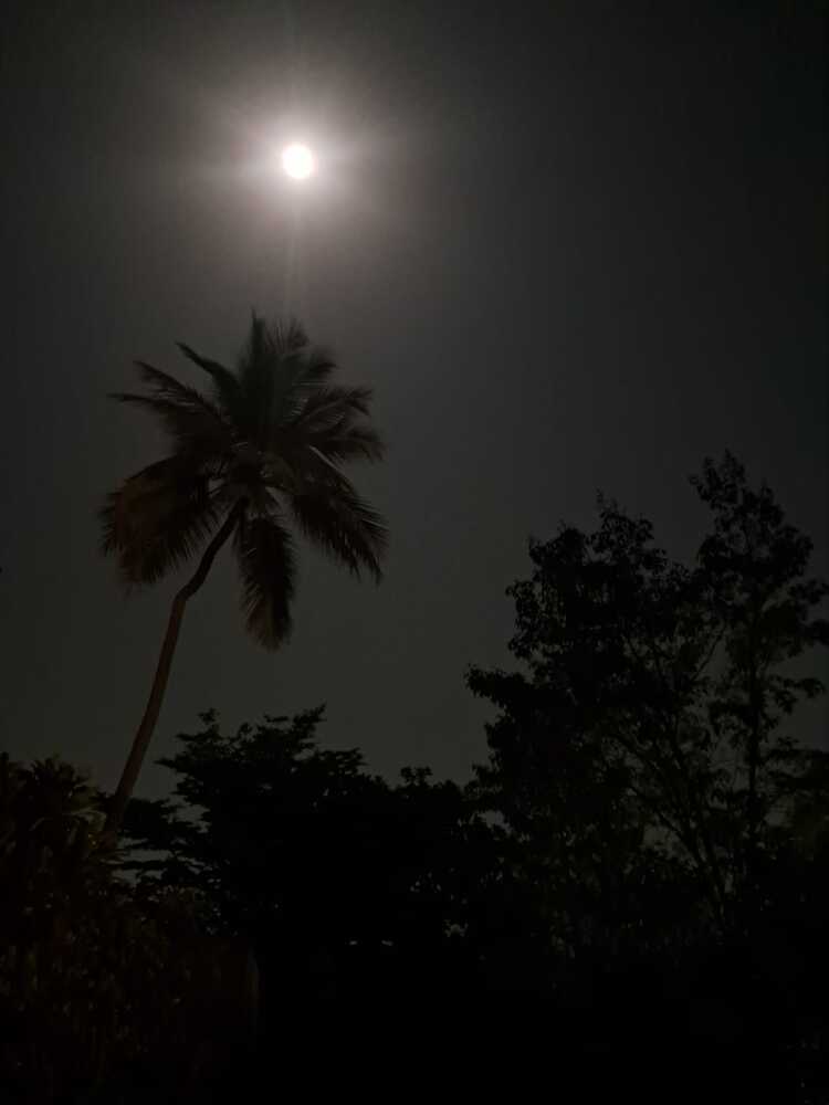 Photograph by Manish (Valmie) Joshi