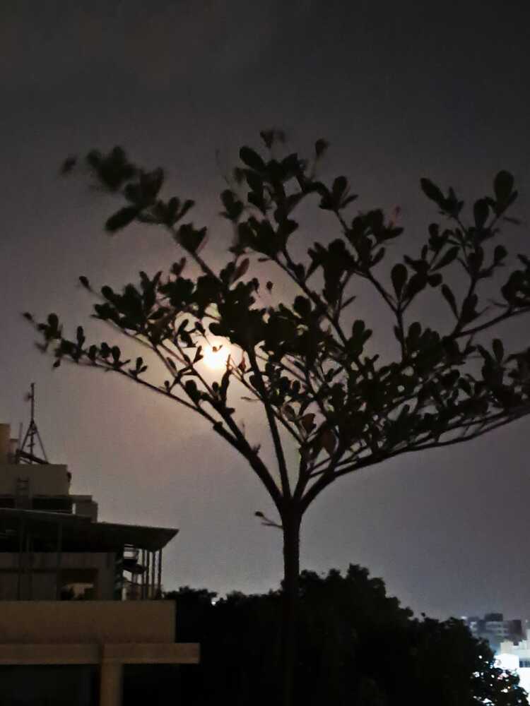 Photograph by Manish (Valmie) Joshi