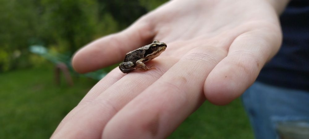 Photograph by Дарина Макарова