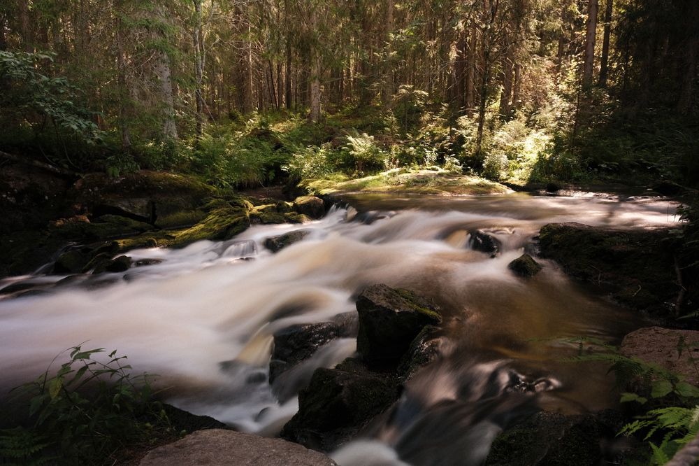 Photograph by Лапшин Алексей