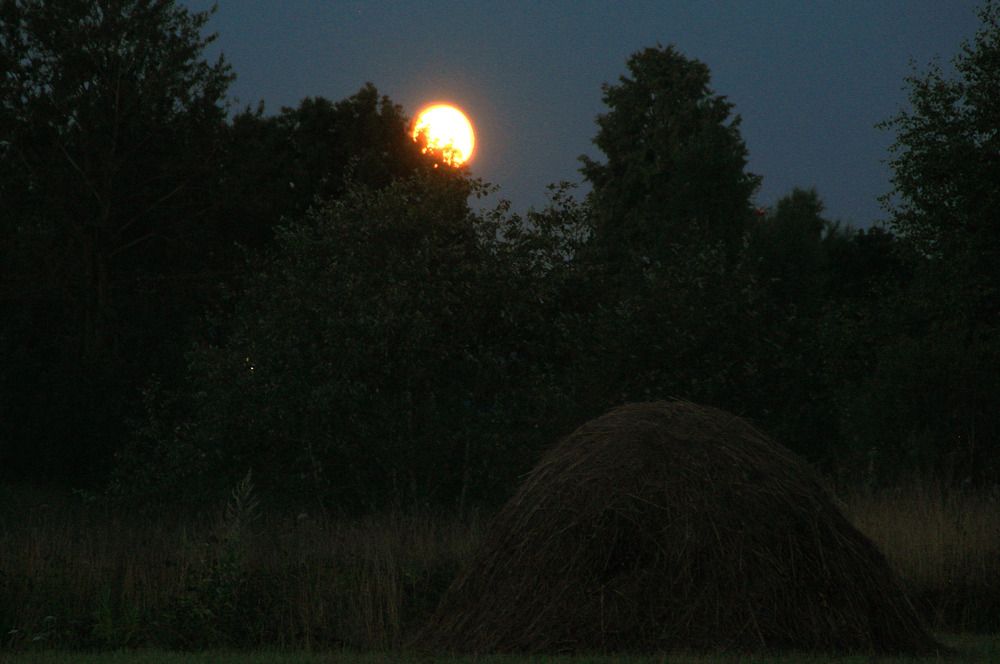 Фотография автора Светлана Терехова