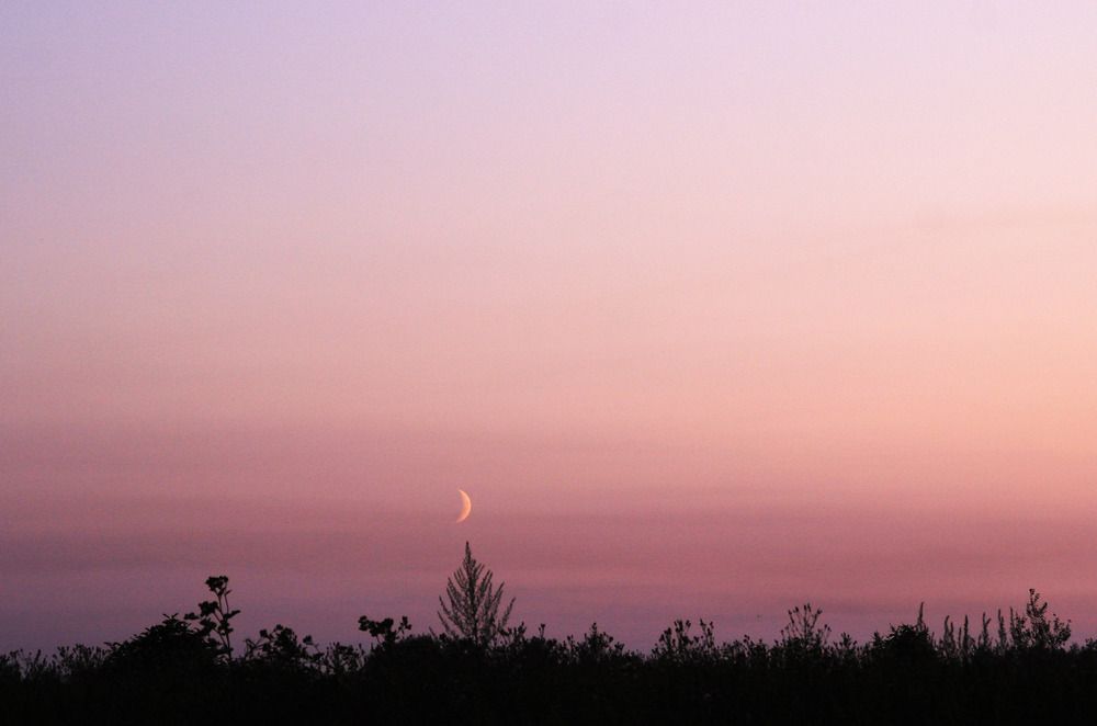 Фотография автора Светлана Терехова