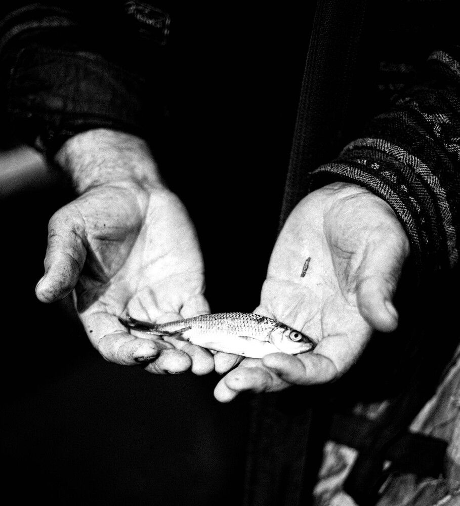 Фотография автора Ирина Дроздова