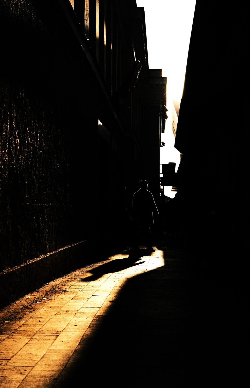Photo #12460051