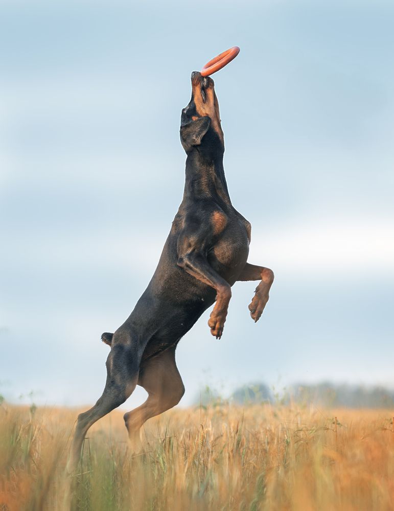 Photograph by Мария Клещенко