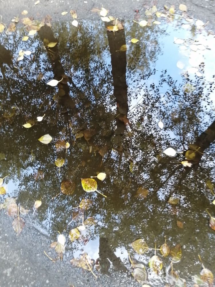 Photograph by Наталия