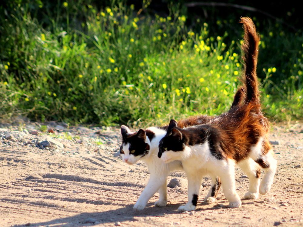 Photograph by Алексей Макаров