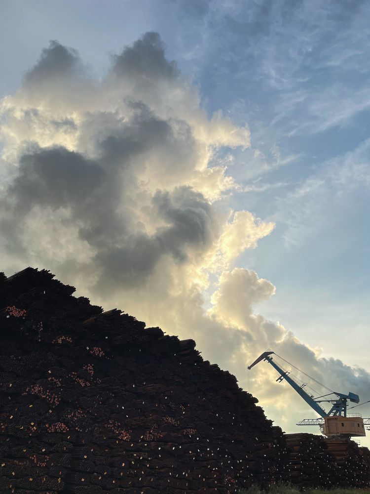 Photograph by Эльвира Зарипова