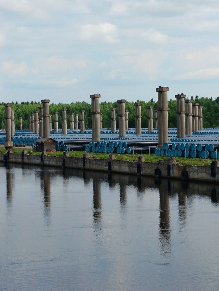 Фотография автора Елена Александрова