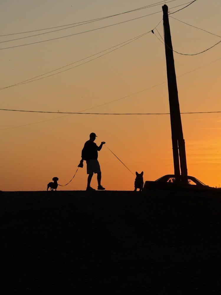 Photograph by Ольга