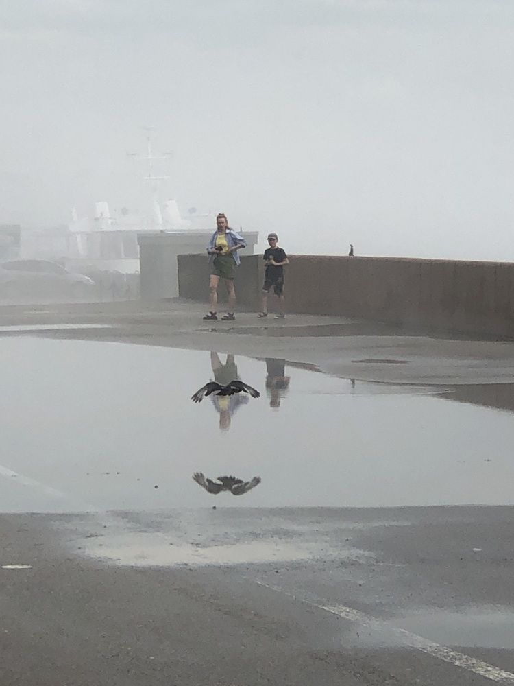 Фотография автора Светлана Гончарова