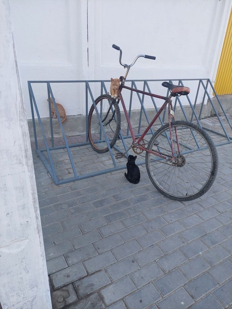 Фотография автора Анатолий Дячина