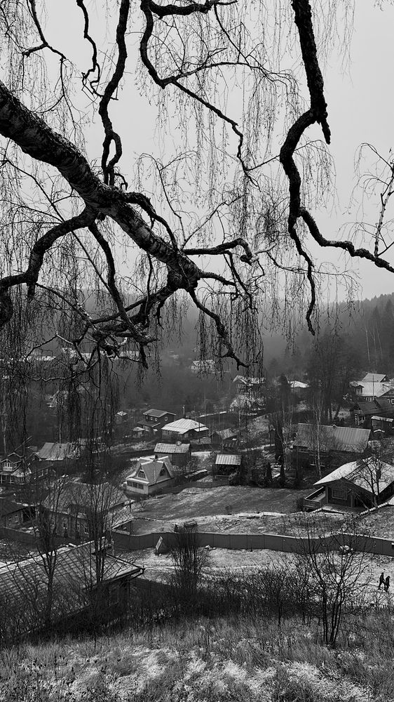 Photograph by Олеся Высокова