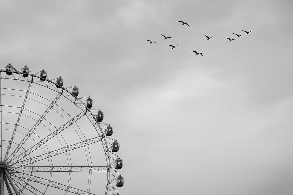 Photograph by negar norouzi zomorrod
