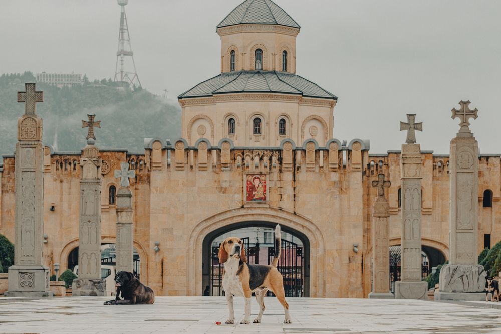 Фотография автора Таисия