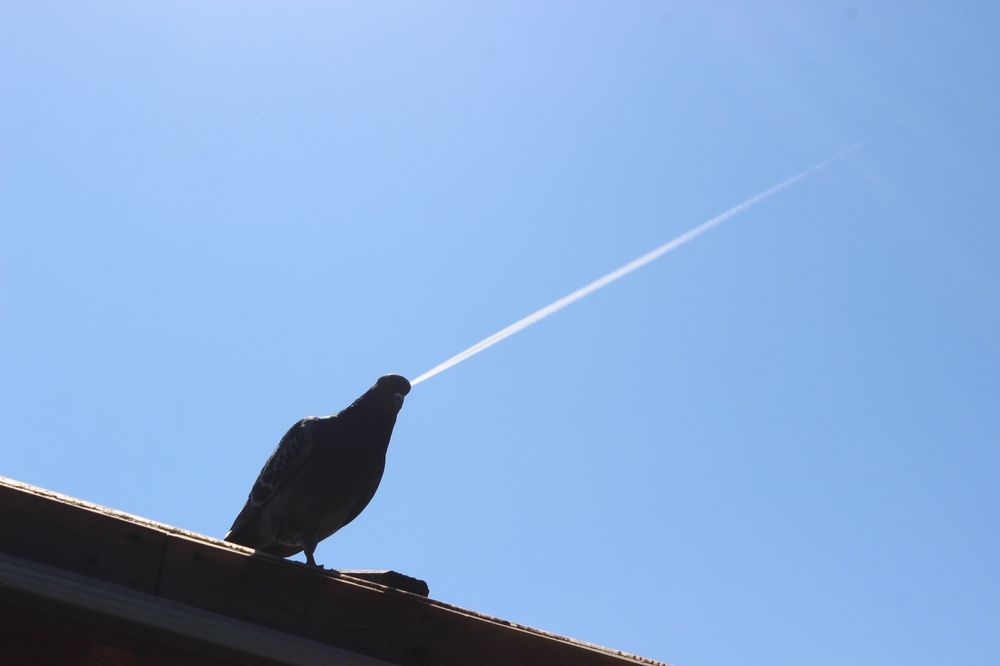 Photograph by Ольга Ситникова