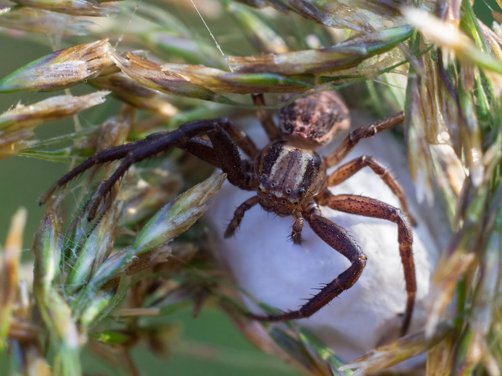Photograph by Борис Журавлёв