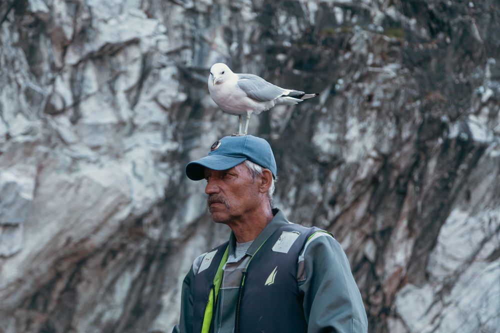 Photograph by Сагдиева Эльвира